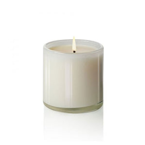 15.5oz Celery Thyme Candle