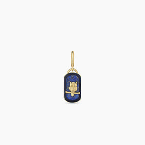 Power Gemstone Wisdom Parker Charm in Lapis