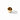Carnaby Statement Ring in Tortoiseshell/7