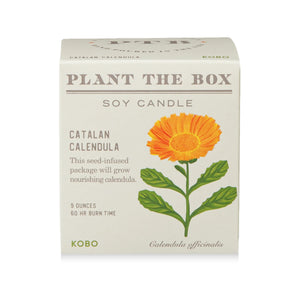 Catalan Calendula Candle