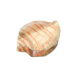 Shell Hair Clip