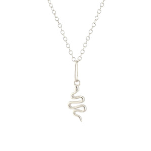 Snake Charm Necklace