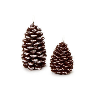 Snowed Pinecone Candle