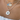 15mm Starfish Gold Light Blue