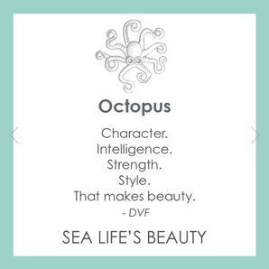 Octopus Silver/Black