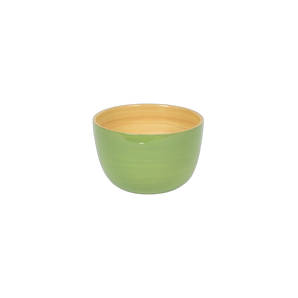 Bamboo Rice Bowl in Pastel Green