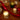 Frasier Fir Votive Candle