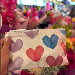 Mini Pouch in Language of Love