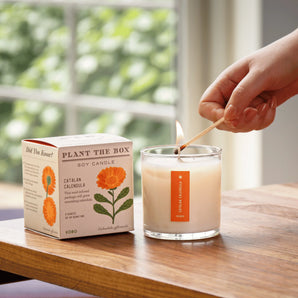Catalan Calendula Candle