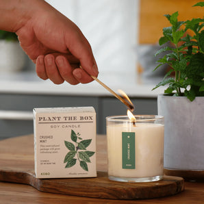 Crushed Mint Candle