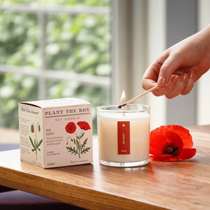 Red Poppy Candle