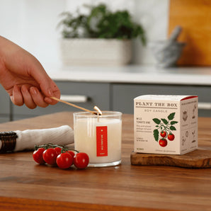Wild Tomato Vine Candle