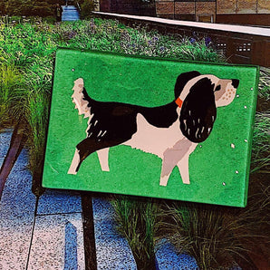 Glass Tray in Spot the Dog